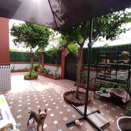 Villa Patricia Málaga Buitenkant foto
